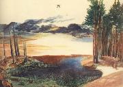 Albrecht Durer A Pond in the woods oil painting artist